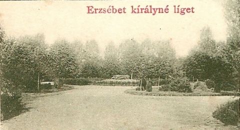 Az Erzsbet liget 1899-ben